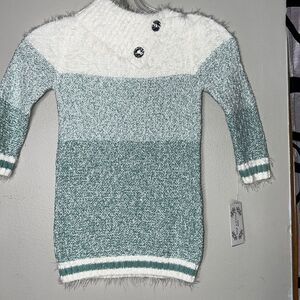 The Eagle's Eye Girls Green And White Sweater Dress Size 2t
